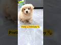 Pretty Little Baby ЁЯШНЁЯР тЩея П Pretty Little Baby ЁЯШНЁЯР тЩея П