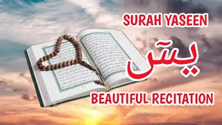 SURAH YASEEN | VERY BEAUTIFUL RECITATION | YOUR WISHES WILL COME TRUE