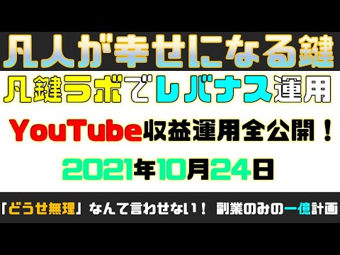 【一億貯める！】月1万円25年間で達成!?副業のみのレバナス検証