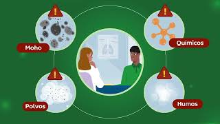 Healthy Lungs At Work Video (Spanish)
This video helps explain what you and your employer can do in your work environment. It also provides information on what you can do yourself, to protect you and your mates’ lung health at work.
For further information contact our Information and Support Centre on 1800 654 301 (option 3).
Spanish Translation: Este video ayuda a explicar lo que tú y tu empleador pueden hacer en tu entorno laboral. También proporciona información sobre lo que puedes hacer tú mismo para proteger la salud de tus pulmones y los de tus compañeros en el trabajo.
Please note Lung Foundation Australia can only offer English language services. Healthy Lungs At Work Video (Spanish)