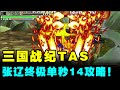 三国战纪P：张辽TAS终极反路单秒14 张凌剑所到之处寸草不生！【小狼解说】