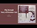 Flip Through Story of precious Cats by Nelco Neco (coloring book)