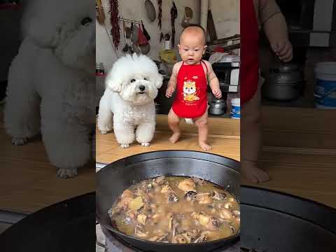 Smart pup knows how to babysit. thumbnail