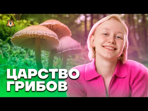 Видео: Экологически чистые грибы – информация об экологических преимуществах грибов