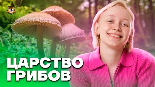 Разбор царства грибов от А до Я | Биология ОГЭ 2023 | Умскул