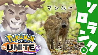 【ポケモンユナイト】ファーストピックむずいソロランク（1600～）【Vtuber/ダン坊】