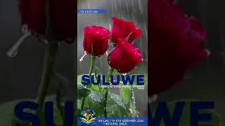 Sulwe