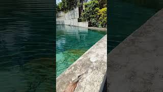 Piscina Natural, Vertiente