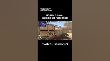 гений twitch - shimaruQ #comedy #meme #twitch #funny #csgo #cs #cs2 #memes #stream #gaming #s1mple