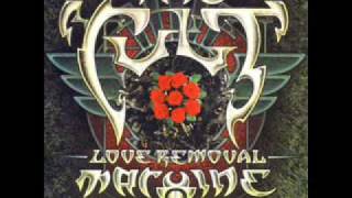 Video thumbnail of "The Cult - Love Removal Machine"