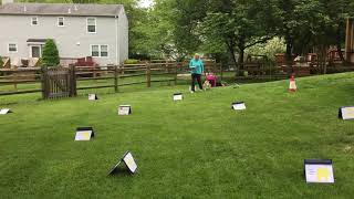 AKC Virtual Rally Course #2