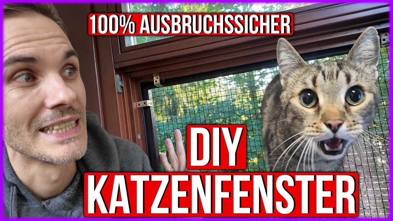 DIY: Katzenfenster selber bauen OHNE Bohren! 100% Katzensicher