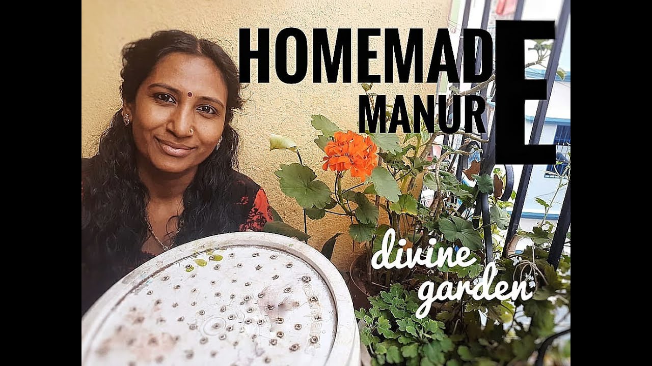 How to make ORGANIC MANURE from KITCHEN WASTE Part 1 Tamil