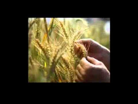 إحنا ولادك يا مصر