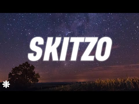 Travis Scott SKITZO Lyrics Ft Young Thug 