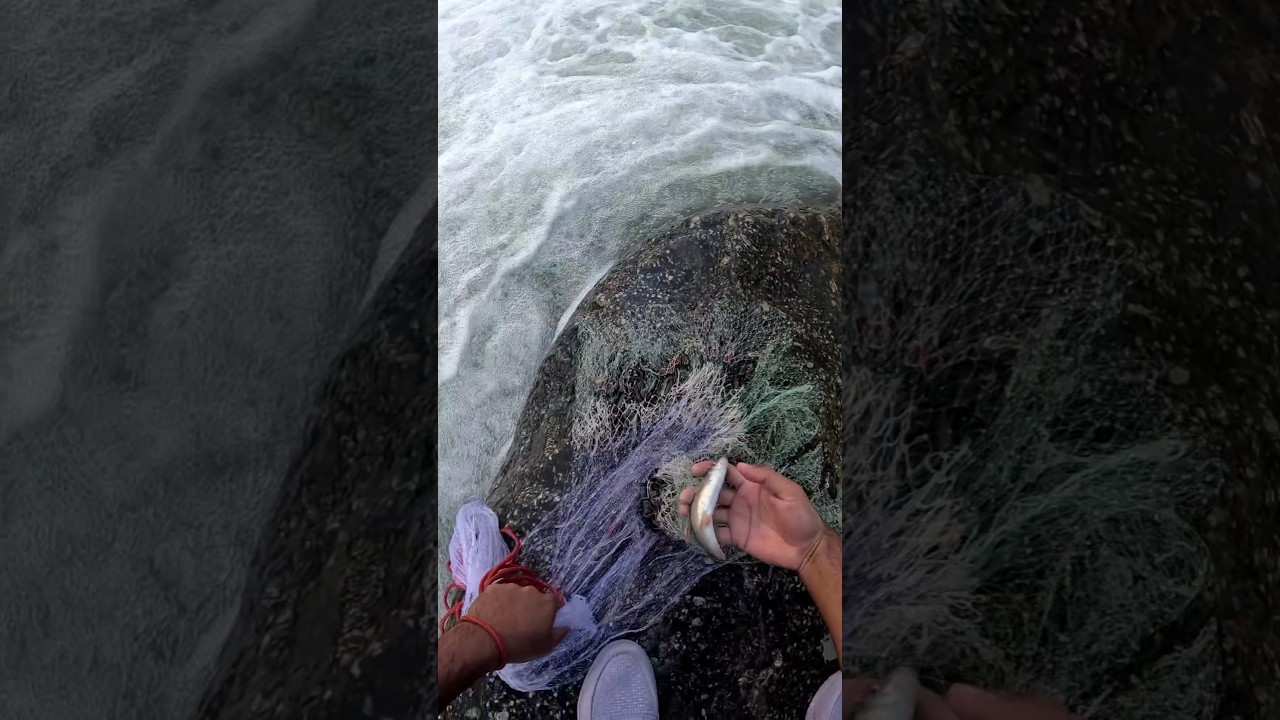 🎣 FAST NET CAST!  FRESHWATER CATCH! 😱 