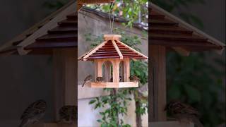 Adorable Bird Feeder Anyone Can Build! 🇺🇸✨ #DIYWood #WoodCraftsDIY #BirdFeederDesign #Shorts