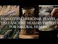 20 Forgotten Medicinal Plants That Ancient Healers Trusted for Natural Healing