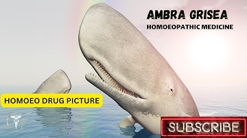 AMBRA GRISEA HOMOEOPATHIC MEDICINE #homoeopathy #homoeopathic_medicine #homoeodrugpicture