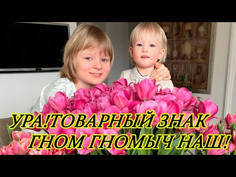 Video: Gnome Gnomych će podržati Evgenija Plushenka