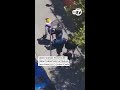 Surveillance video shows pickpocket crew targeting victims in SF's Chinatown