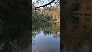 Success Business Ideas.tips 7