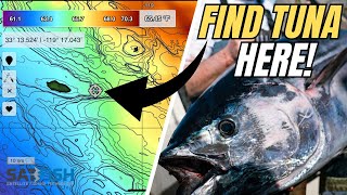 Find More Tuna Using Satellite Maps [Bluefin + Albacore]