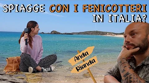 Dove si trova la spiaggia dei fenicotteri?