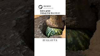 이걸로 들어 올리는 게..가능해?