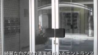互栄大塚ビル 仲介手数料無料 互栄大塚ビル 仲介手数料無料