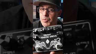 Bad Cats Favorite Pedal Bad Cat Burmese Drive