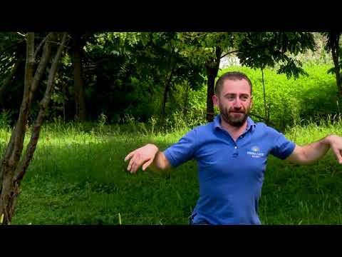 \"თოფუზის განდაგანა\" • #თოფუზ(თენგიზ) გაბაიძის ოჯახი (ბათუმი)