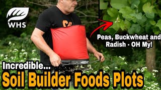 Best Soil Builder Food Plot Mix