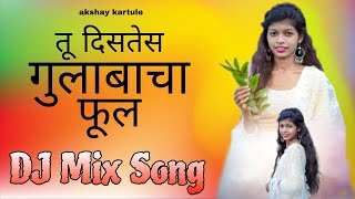 Tu Diste Gulabach Phul palghar song / Aishwarya Han / palghar dj mix song / love song ❤️🥰💞🥀