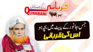 Hamila Janwar Ki Qurbani Karna Jaiz Hai Qurbani Kay Masail By Maulana Ilyas Qadri Eid 2020