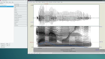 Praat course 09: Three ways to measure f0
