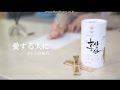 アトミ 紅参丹  (艾多美 紅蔘)