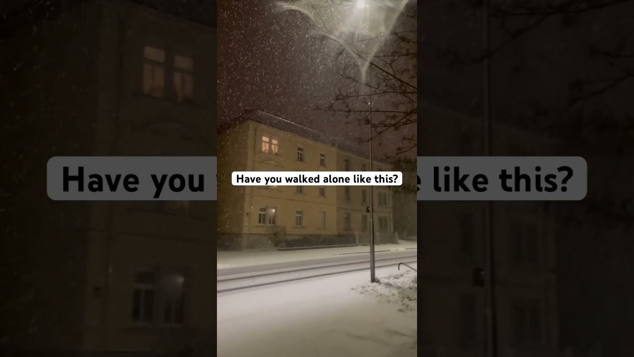 Lost in the snow ❄️ 