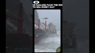 Brutal storm vs massive container ship #waves #storm #northsea