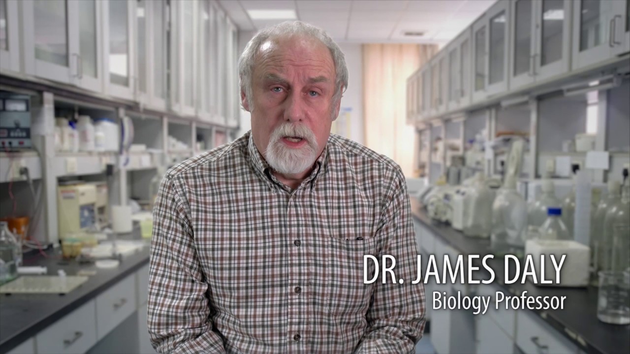 Purchase College School of Natural and Social Sciences: Senior Year