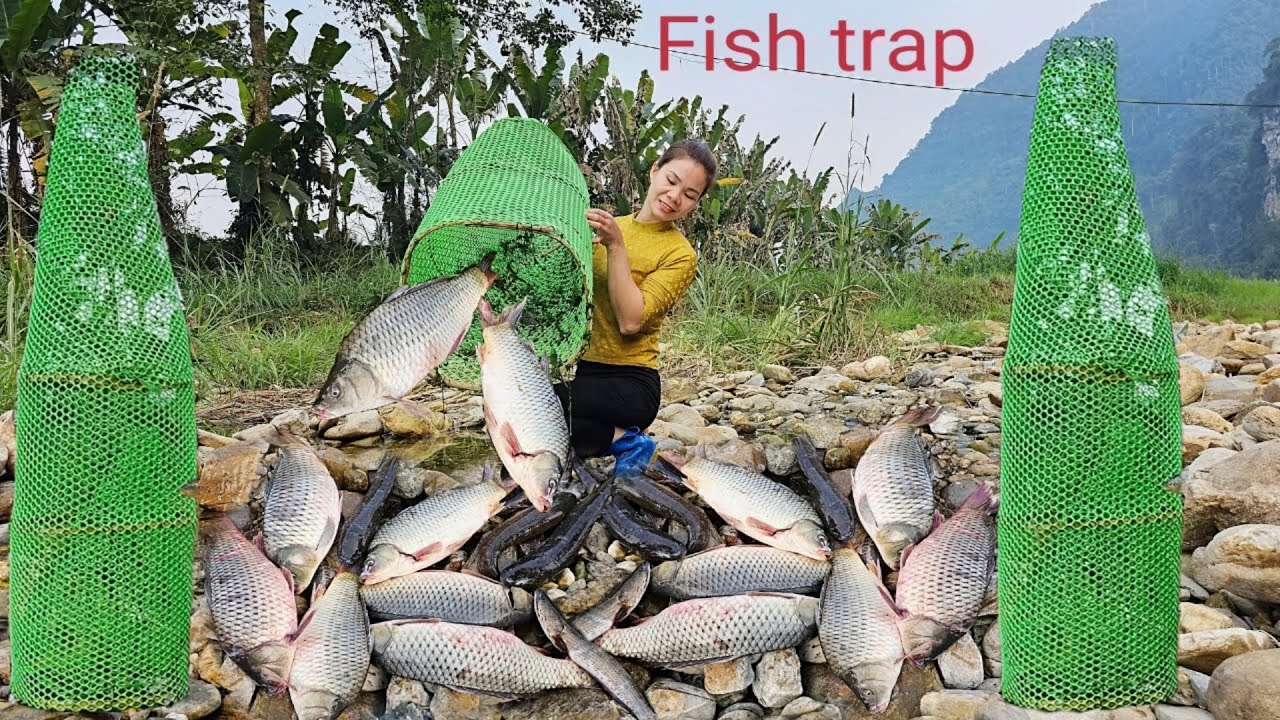 Ana set fish traps in a large stream. Luckily, she caught many big ...