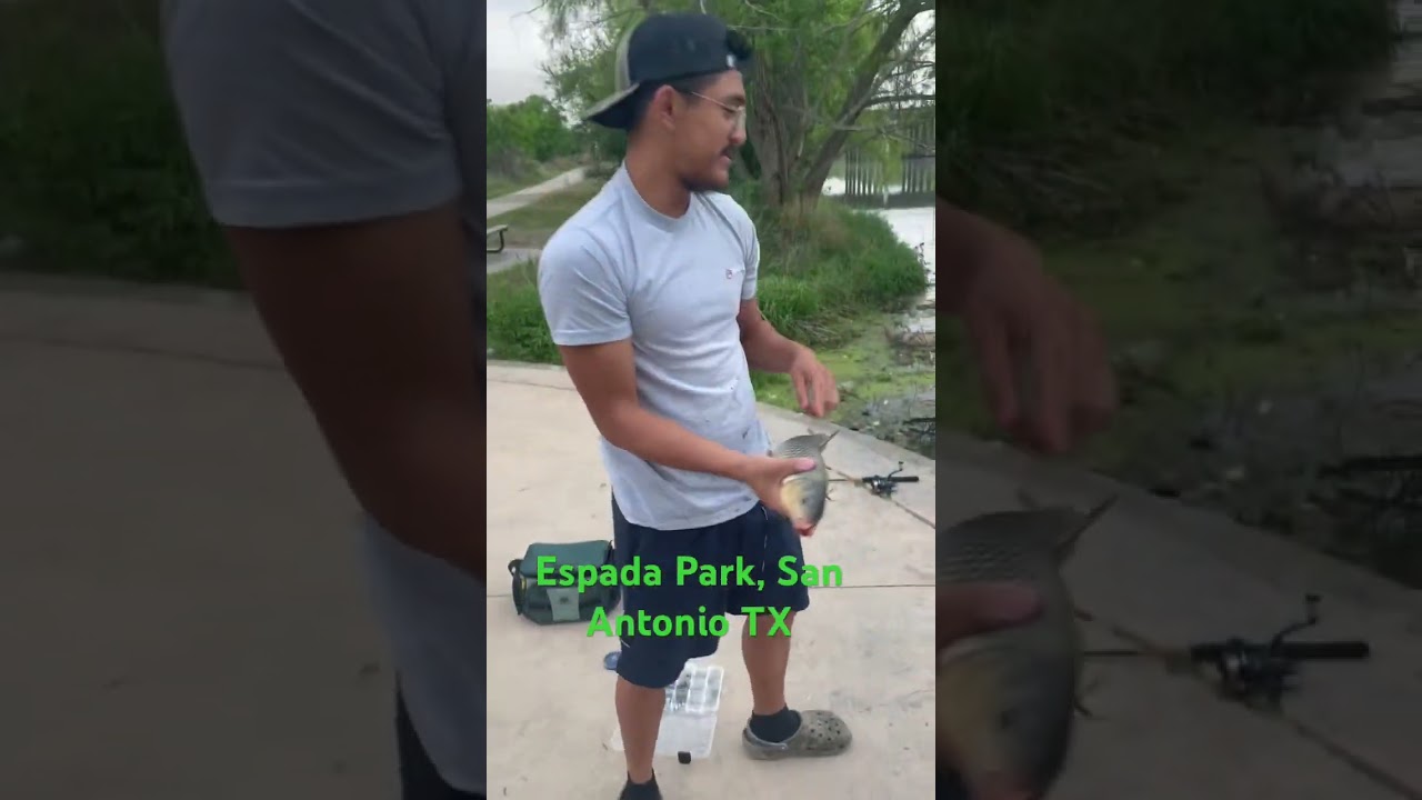 Carp at Espada are always hungry. 