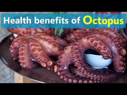 Video: Octopus - Calorie Content, Beneficial Properties, Nutritional Value, Vitamins