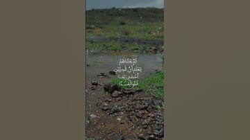 #قرآن #تلاوة_خاشعة #ترند #اكسبلور