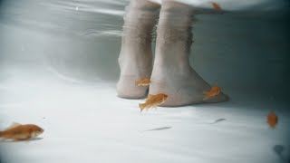 Genesis (Abstract Short Film) Genesis (Abstract Short Film)