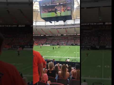 Extreme Dogs Halftime