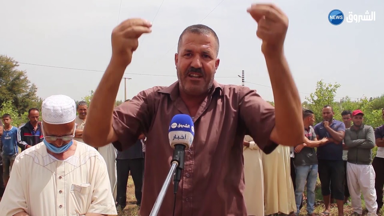 غليزان | مئات الهكتارات من الأشجار المثمرة تواجه خطر الجفاف بدوار أولاد بوعلي