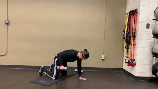 Dumbbell Quadruped Single Arm Row