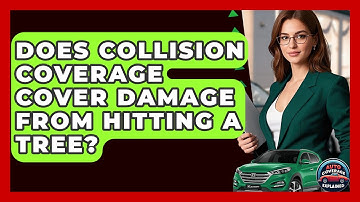 Does Collision Coverage Cover Damage From Hitting A Tree? - Auto Coverage Explained