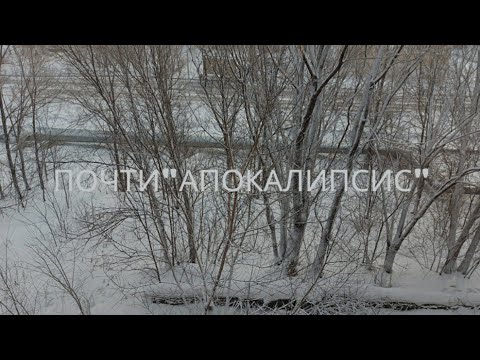 Почти 'апокалипсис '/Микрозелень